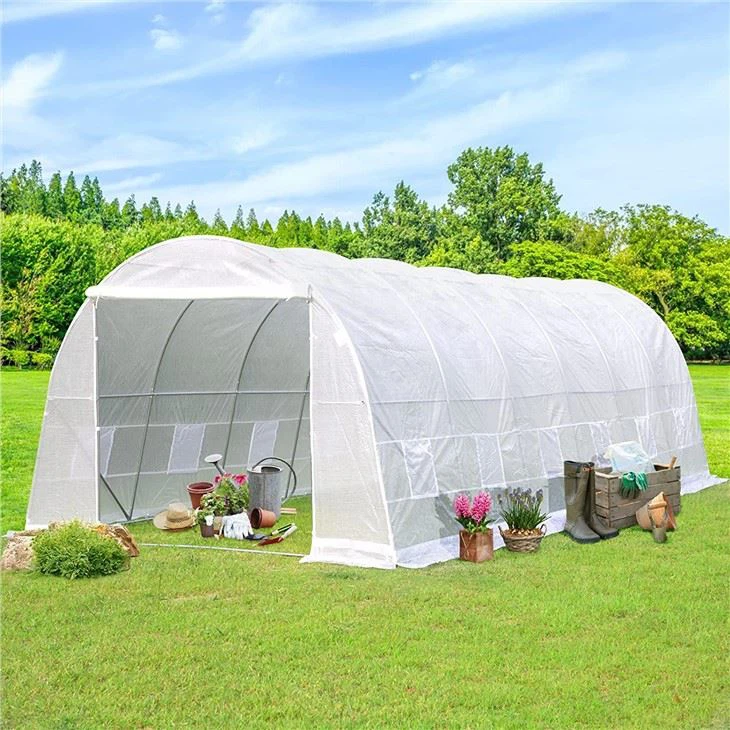6x3x2 greenhouse6